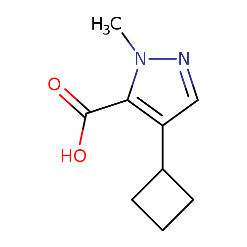 4-cyclobutyl-1-methyl-1H-pyrazole-5-carboxylic acid