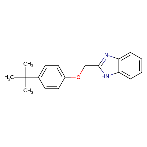 2-((4-tert-butylphenoxy)methyl)-1H-benzimidazole