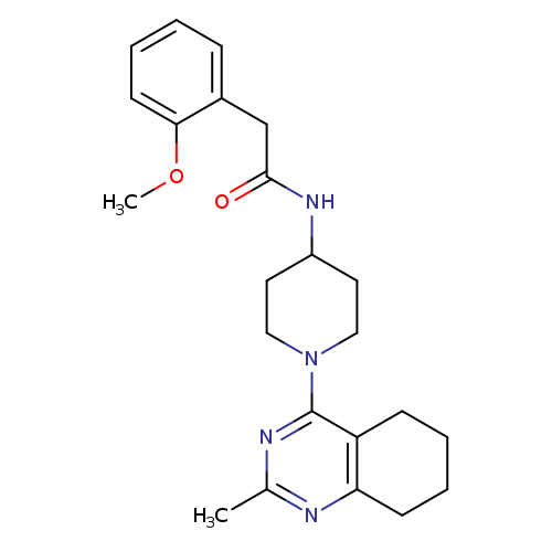 2-(2-methoxyphenyl)-N-[1-(2-methyl-5,6,7,8-tetrahydroquinazolin-4-yl)piperidin-4-yl]acetamide