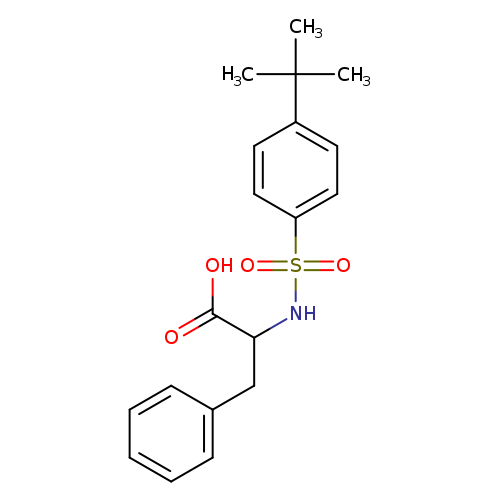N-([4-(TERT-BUTYL)PHENYL]SULFONYL)PHENYLALANINE