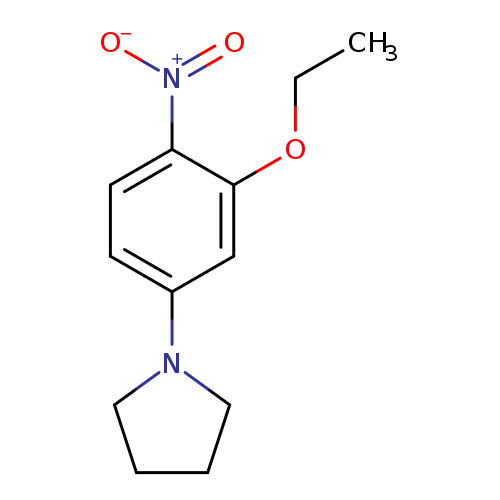 1-{3-ethoxy-4-nitrophenyl}pyrrolidine