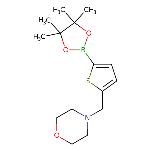4-((5-(4,4,5,5-Tetramethyl-1,3,2-dioxaborolan-2-yl)thiophen-2-yl)methyl)morpholine