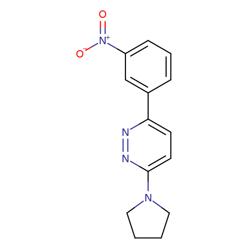 3-(3-nitrophenyl)-6-(pyrrolidin-1-yl)pyridazine