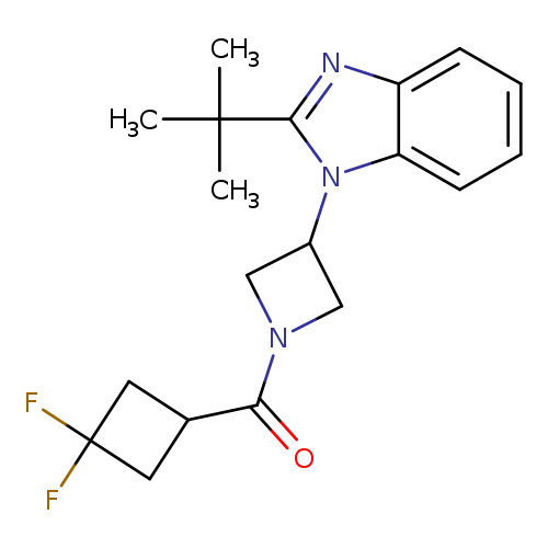 2-tert-butyl-1-[1-(3,3-difluorocyclobutanecarbonyl)azetidin-3-yl]-1H-1,3-benzodiazole
