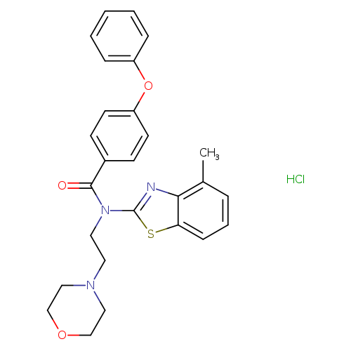 N-(4-methyl-1,3-benzothiazol-2-yl)-N-[2-(morpholin-4-yl)ethyl]-4-phenoxybenzamide hydrochloride