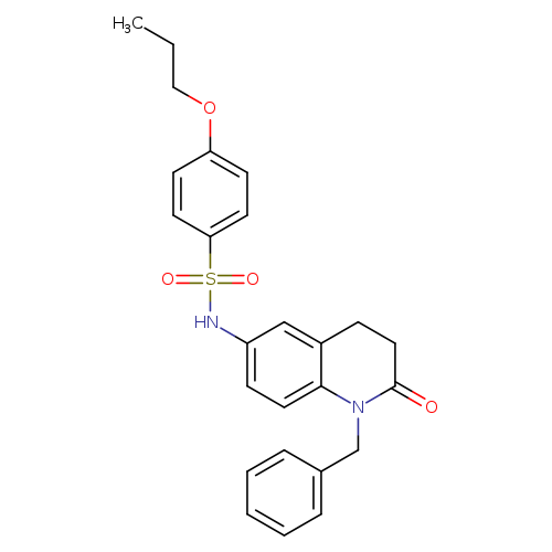 N-(1-benzyl-2-oxo-1,2,3,4-tetrahydroquinolin-6-yl)-4-propoxybenzene-1-sulfonamide
