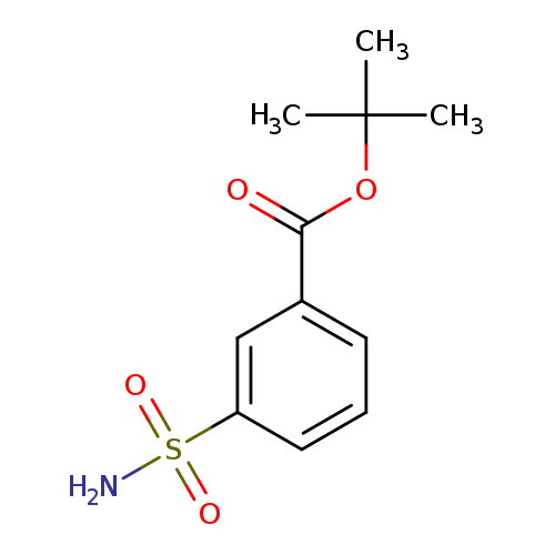 tert-butyl3-sulfamoylbenzoate