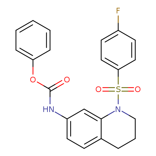phenyl N-[1-(4-fluorobenzenesulfonyl)-1,2,3,4-tetrahydroquinolin-7-yl]carbamate