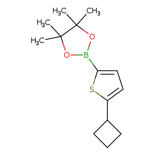 2-(5-cyclobutylthiophen-2-yl)-4,4,5,5-tetramethyl-1,3,2-dioxaborolane
