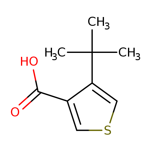 4-tert-butylthiophene-3-carboxylic acid