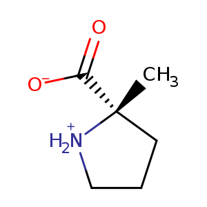 (S)-2-Methylproline