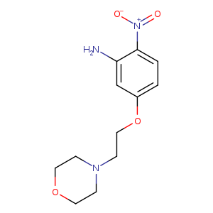 5-[2-(morpholin-4-yl)ethoxy]-2-nitroaniline