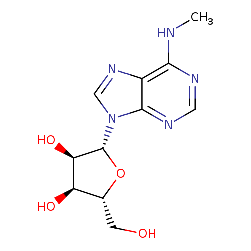 6-Methylamino-9-β-D-ribofuranosylpurine