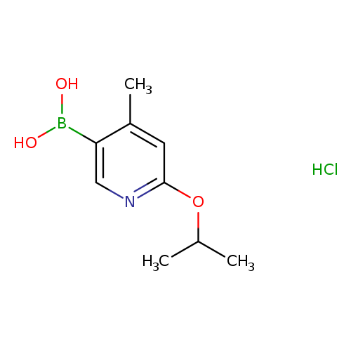 6-Isopropoxy-4-methylpyridine-3-boronic acid HCl