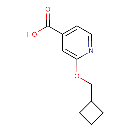 2-(Cyclobutylmethoxy)isonicotinic acid