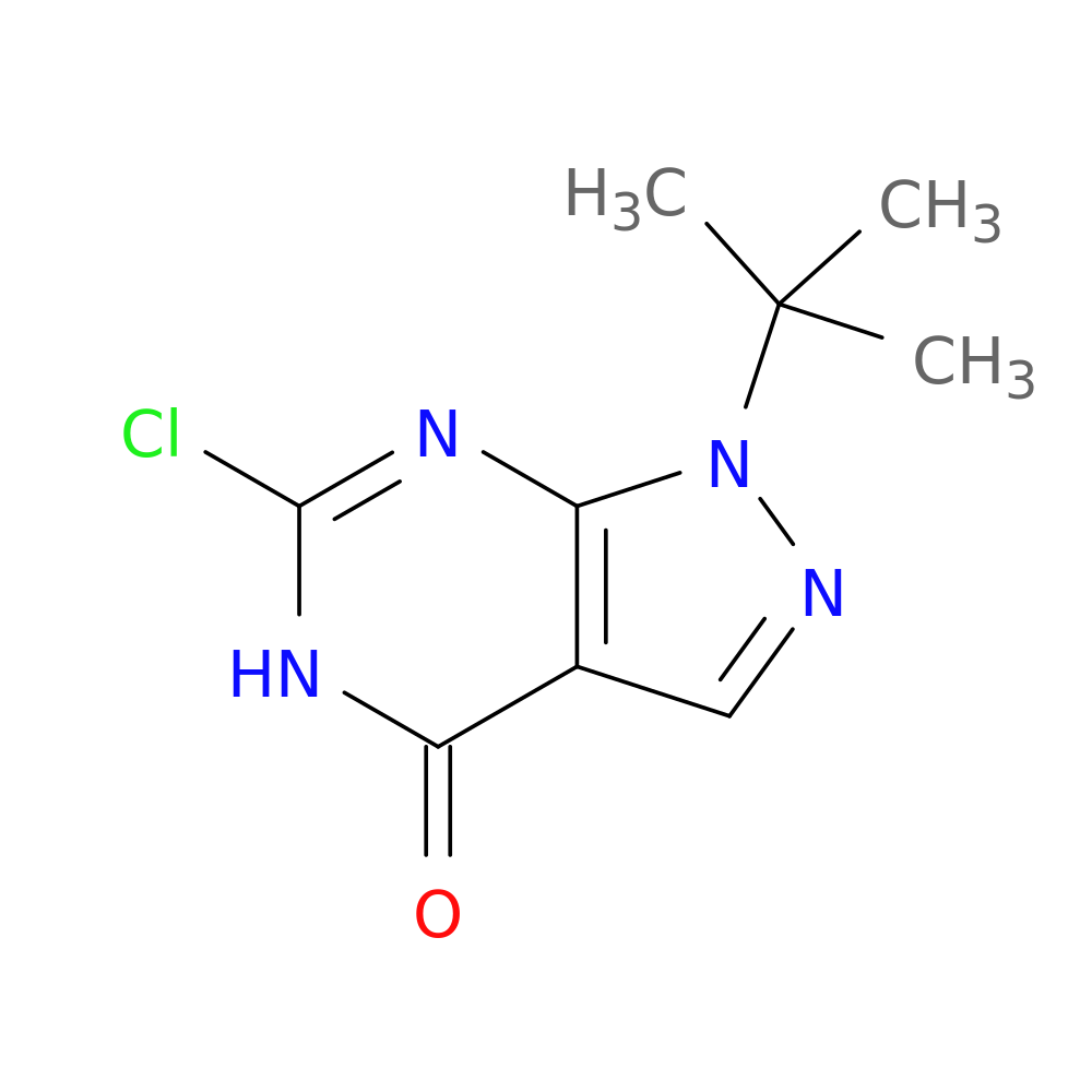 1-tert-butyl-6-chloro-1H,4H,5H-pyrazolo[3,4-d]pyrimidin-4-one