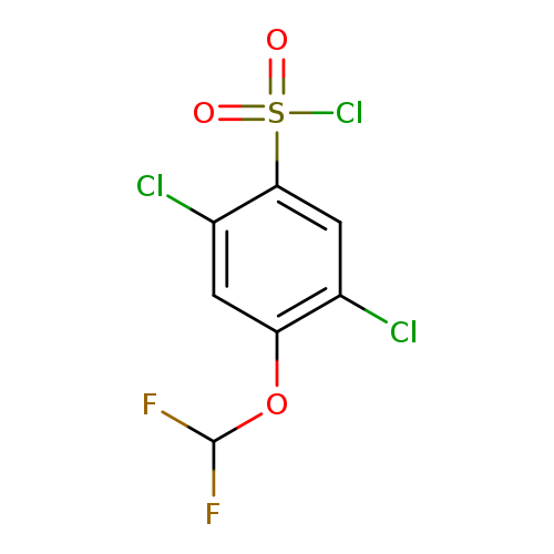 2,5-dichloro-4-(difluoromethoxy)benzene-1-sulfonylchloride