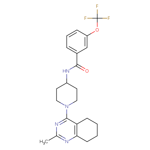 N-[1-(2-methyl-5,6,7,8-tetrahydroquinazolin-4-yl)piperidin-4-yl]-3-(trifluoromethoxy)benzamide