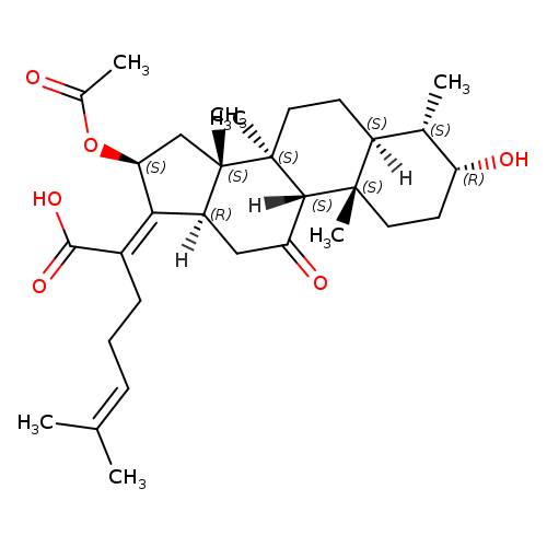 11-Keto Fusidic Acid