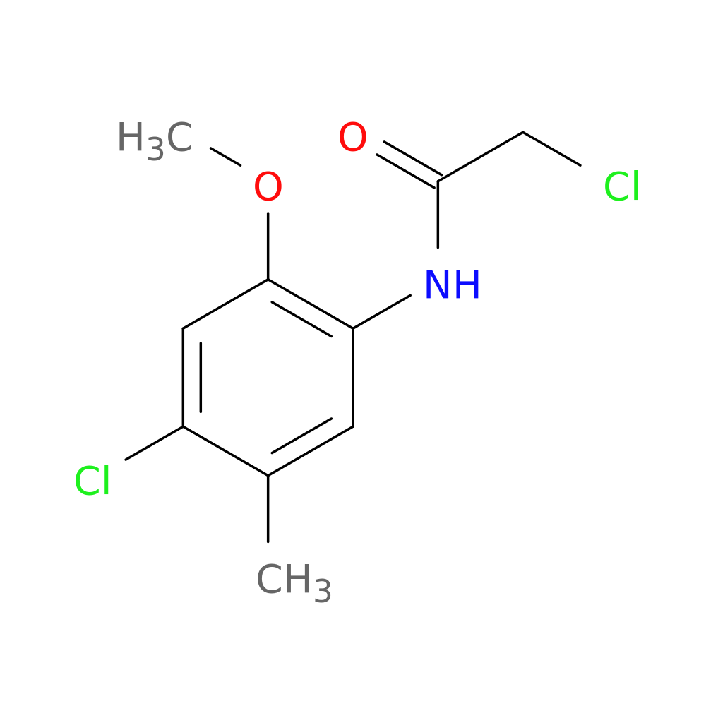 2-Chloro-N-(4-chloro-2-methoxy-5-methylphenyl)acetamide