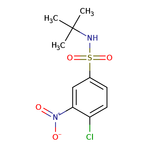 N-tert-butyl-4-chloro-3-nitrobenzene-1-sulfonamide