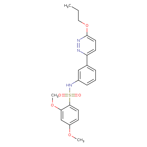 2,4-dimethoxy-N-[3-(6-propoxypyridazin-3-yl)phenyl]benzene-1-sulfonamide