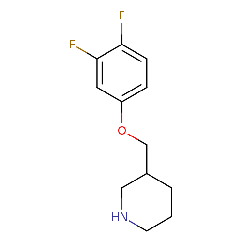 3-[(3,4-DIFLUOROPHENOXY)METHYL]PIPERIDINE