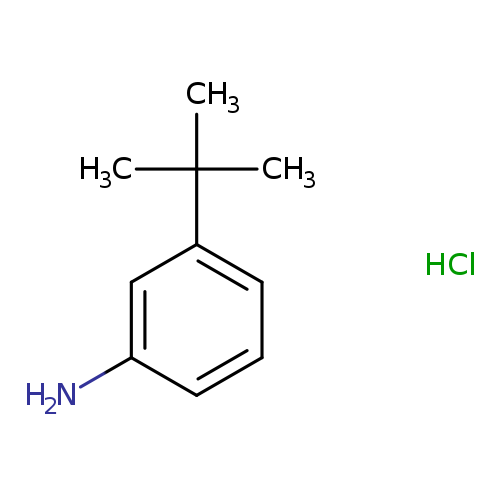 3-tert-Butylaniline hcl