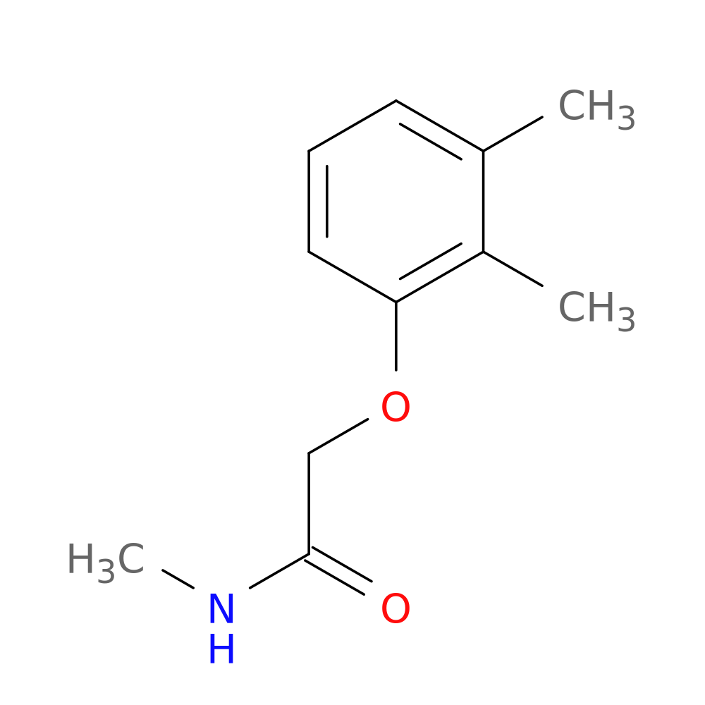 Acetamide, 2-(2,3-dimethylphenoxy)-N-methyl- (9CI)