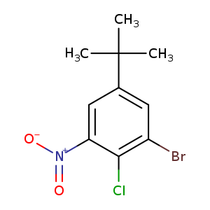 3-Bromo-4-chloro-5-nitro-tert-butylbenzene