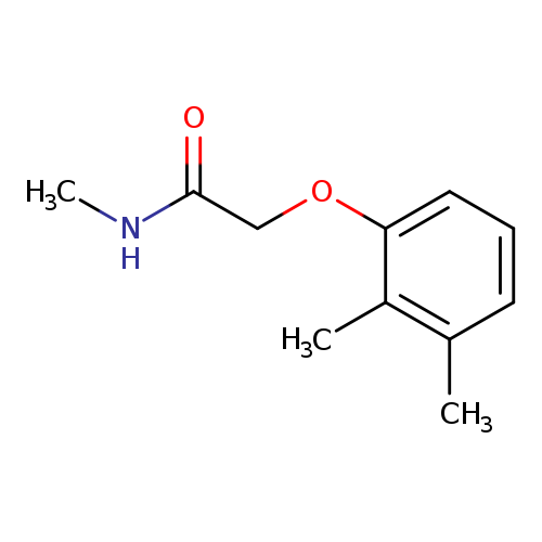Acetamide, 2-(2,3-dimethylphenoxy)-N-methyl- (9CI)