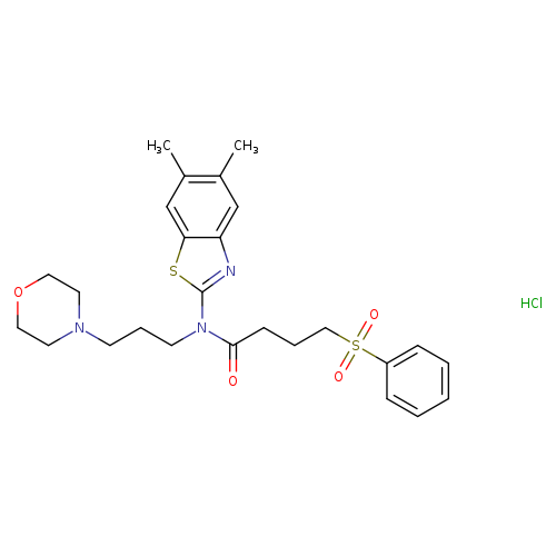 4-(benzenesulfonyl)-N-(5,6-dimethyl-1,3-benzothiazol-2-yl)-N-[3-(morpholin-4-yl)propyl]butanamide hydrochloride
