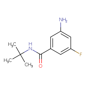 3-Amino-N-tert-butyl-5-fluorobenzamide