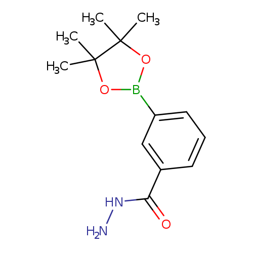 3-(4,4,5,5-Tetramethyl-1,3,2-dioxaborolan-2-yl)benzohydrazide