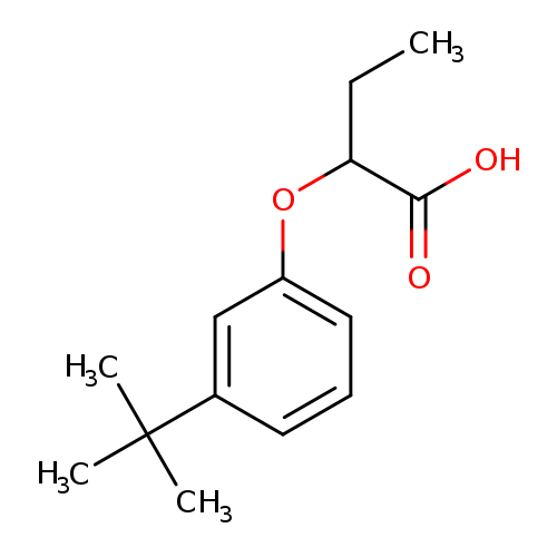 2-(3-tert-Butylphenoxy)butanoic acid