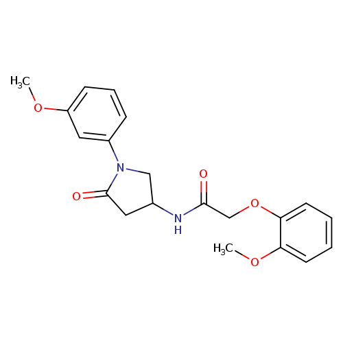 2-(2-methoxyphenoxy)-N-[1-(3-methoxyphenyl)-5-oxopyrrolidin-3-yl]acetamide