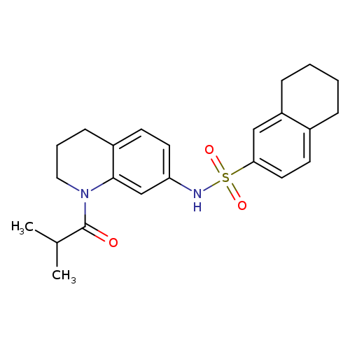 N-[1-(2-methylpropanoyl)-1,2,3,4-tetrahydroquinolin-7-yl]-5,6,7,8-tetrahydronaphthalene-2-sulfonamide