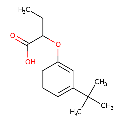 2-(3-tert-butylphenoxy)butanoic acid