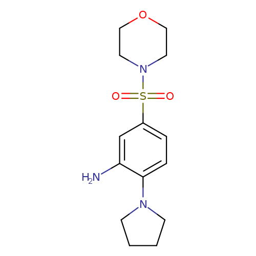 5-(MORPHOLINE-4-SULFONYL)-2-PYRROLIDIN-1-YL-PHENYLAMINE