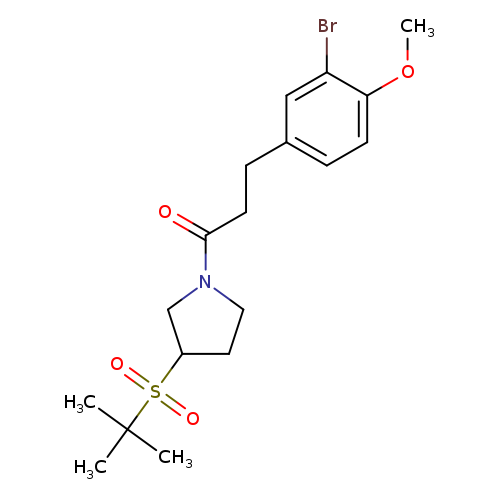 3-(3-bromo-4-methoxyphenyl)-1-[3-(2-methylpropane-2-sulfonyl)pyrrolidin-1-yl]propan-1-one