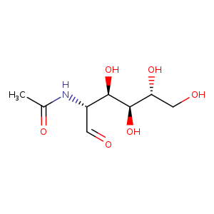 2-Acetamido-2-deoxy-D-glucose