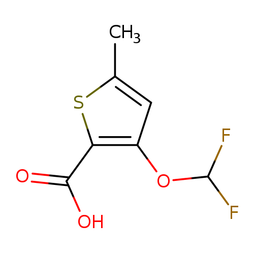 3-(difluoromethoxy)-5-methylthiophene-2-carboxylic acid