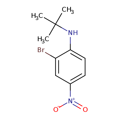 N-t-Butyl 2-bromo-4-nitroaniline