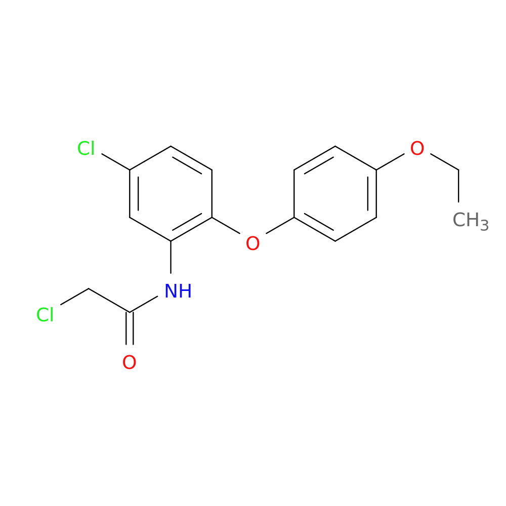 2-chloro-N-[5-chloro-2-(4-ethoxyphenoxy)phenyl]acetamide