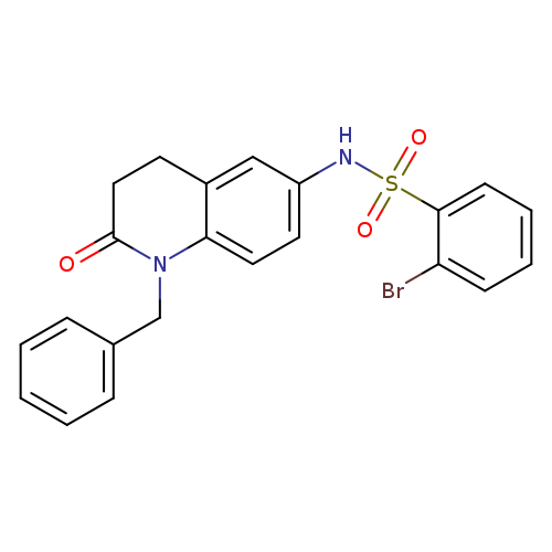 N-(1-benzyl-2-oxo-1,2,3,4-tetrahydroquinolin-6-yl)-2-bromobenzene-1-sulfonamide
