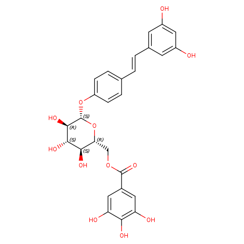 Resveratrol 4'-(6-galloylglucoside)