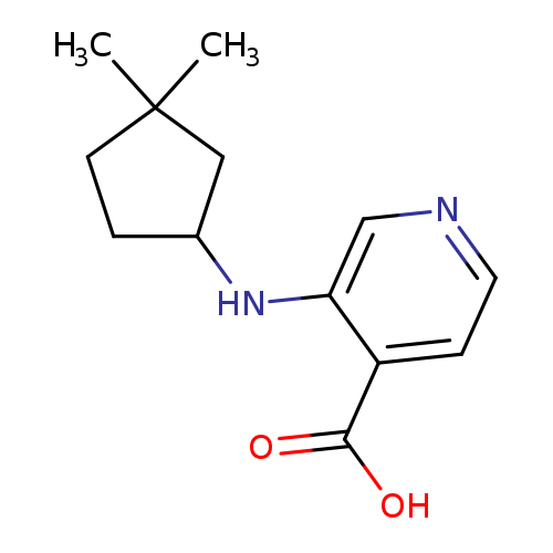 3-[(3,3-dimethylcyclopentyl)amino]pyridine-4-carboxylicacid