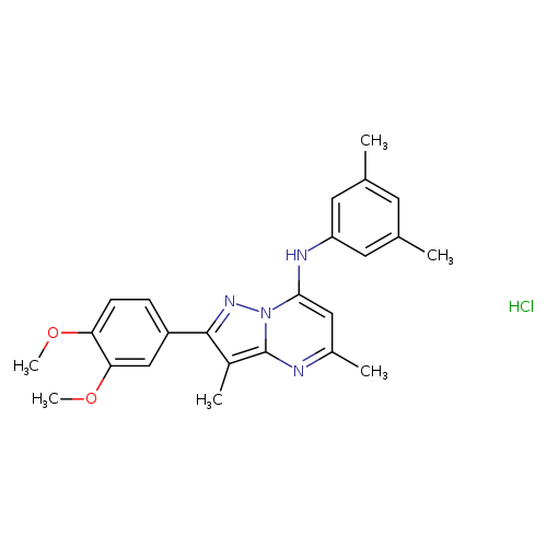 2-(3,4-dimethoxyphenyl)-N-(3,5-dimethylphenyl)-3,5-dimethylpyrazolo[1,5-a]pyrimidin-7-amine hydrochloride