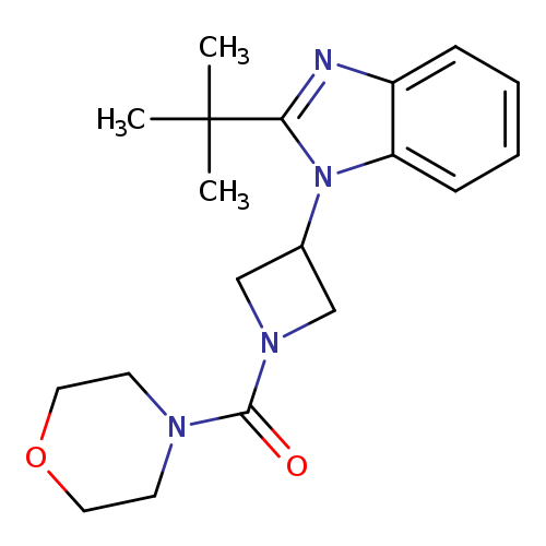 2-tert-butyl-1-[1-(morpholine-4-carbonyl)azetidin-3-yl]-1H-1,3-benzodiazole