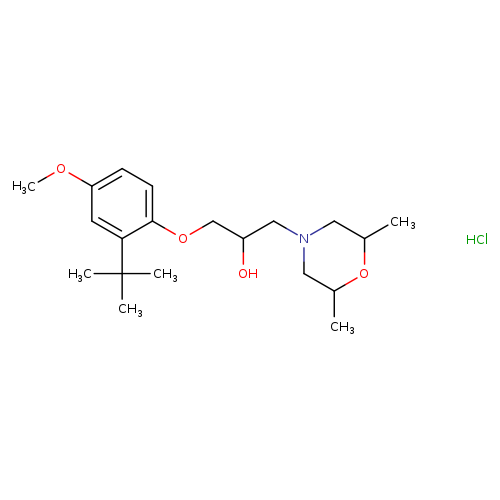 1-(2-tert-butyl-4-methoxyphenoxy)-3-(2,6-dimethylmorpholin-4-yl)propan-2-ol hydrochloride